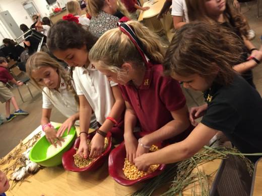 Farm Day at Hartfield Academy 