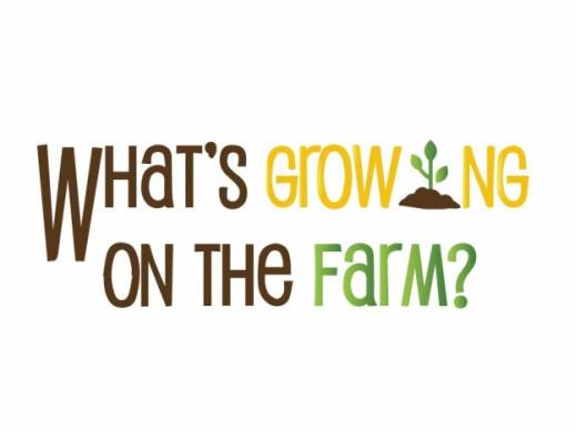 Whats Growing on the Farm  Newsletter 